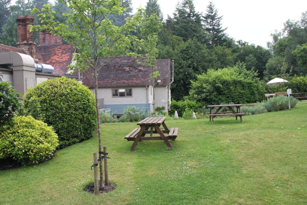 Bel And The Dragon-Churt Farnham  Exterior photo